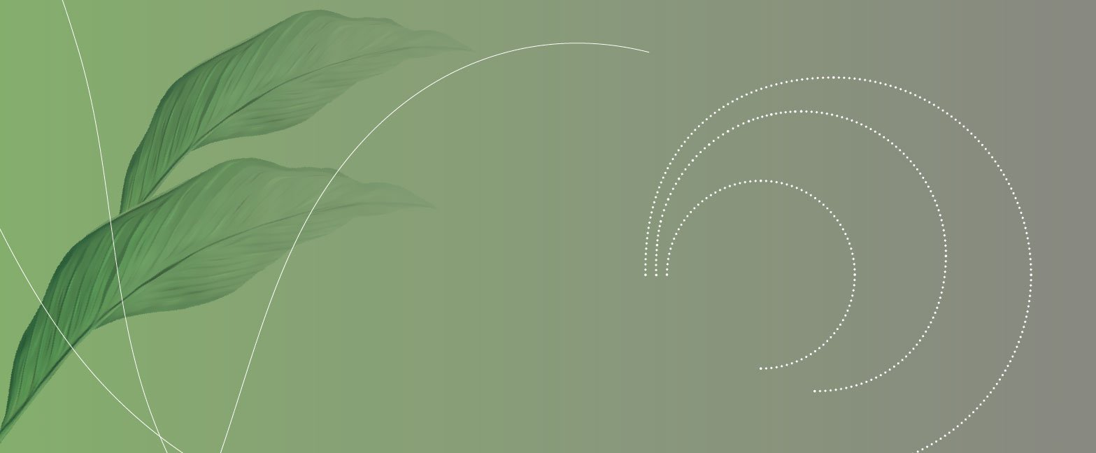 Brasileiro bebe menos cerveja, e indústria cria novos sabores